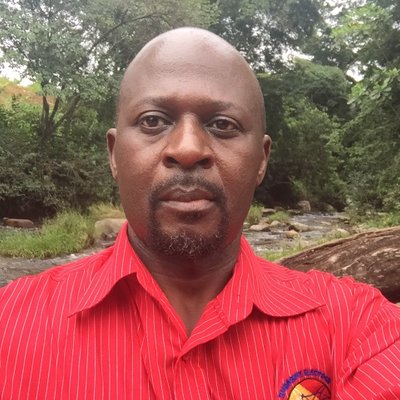 Abel Gurupira, fired ZETDC Managing Director