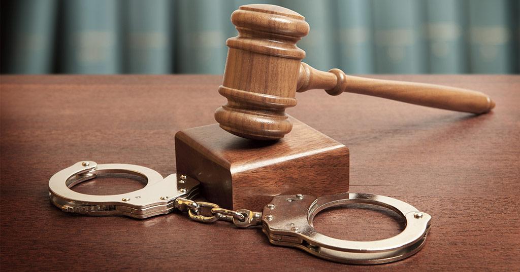 arrested for live pangolin trade